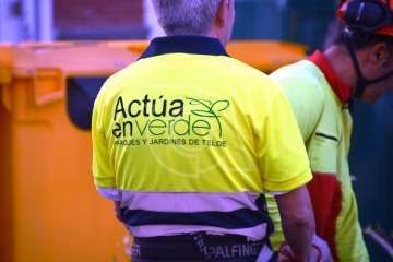 Parques y Jardines elimina en Salinetas el árbol que ensuciaba los recipientes de basura (Foto TA)